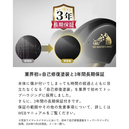 Victor（ビクター） WOOD master HA-FW5000T-B ピアノブラック