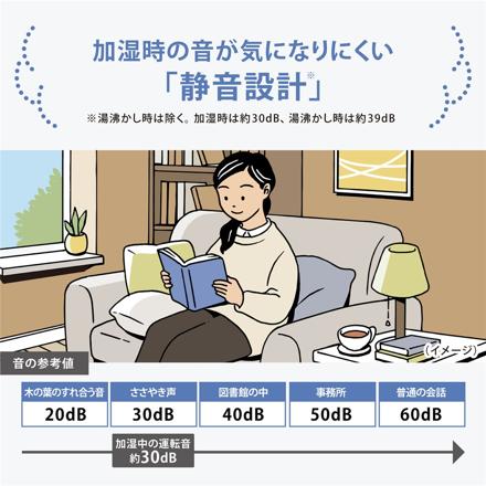 象印 スチーム式加湿器 3.0L EE-DG35 グレー お試し用ピカポット付き