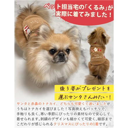 ペットクイーン 犬用ペットウエア あっちむいてルディ ブラウン サイズ3 + ベリー ペット用おもちゃ セット