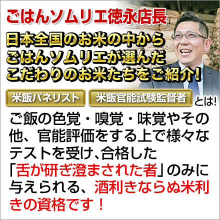 白米 群馬県沼田産 小松姫 〈コシヒカリ〉 900g 令和6年産