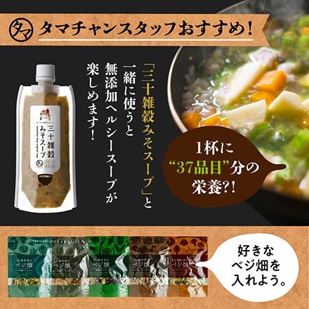 タマチャンショップ ななつのしあわせベジ畑 50g 乾燥野菜 和風ベース