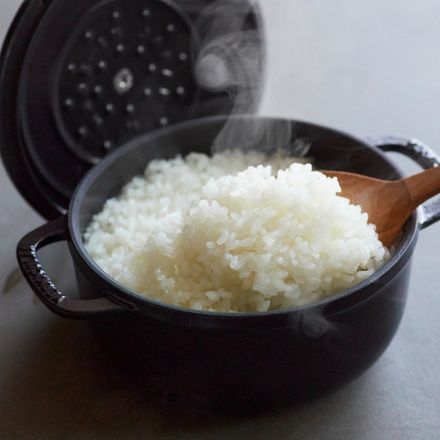 Vermicular バーミキュラ オーブンポット2 ミニ 14cm セルフスタンディングリッド マットブラック OP2R14S-BK