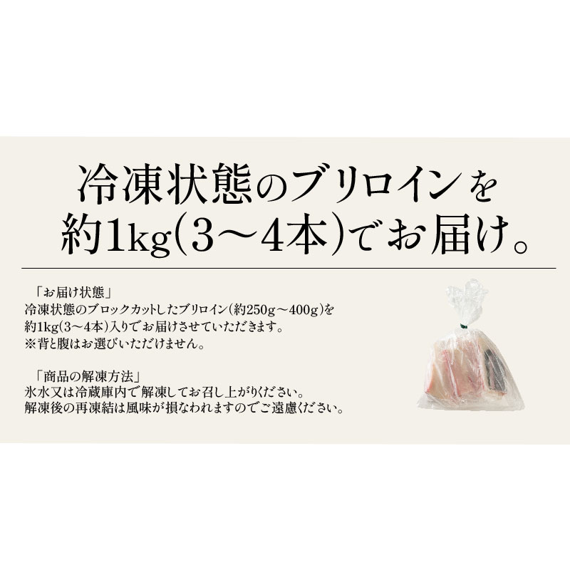 愛媛県産 ぶり ブロック お刺身 ブリロイン 1kg