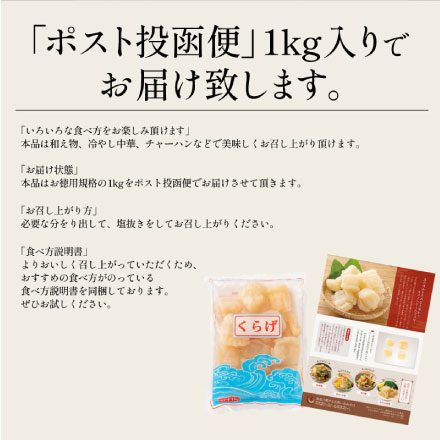 キャノンボールクラゲ 1kg