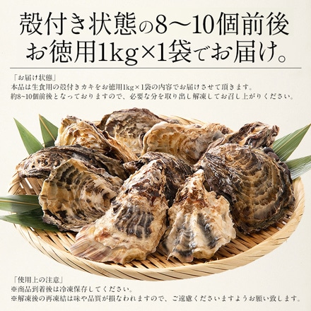 牡蠣 生食用 殻付き 1kg（8-10個前後） 冷凍