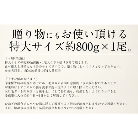 毛ガニ 800g前後×1尾 北海道産