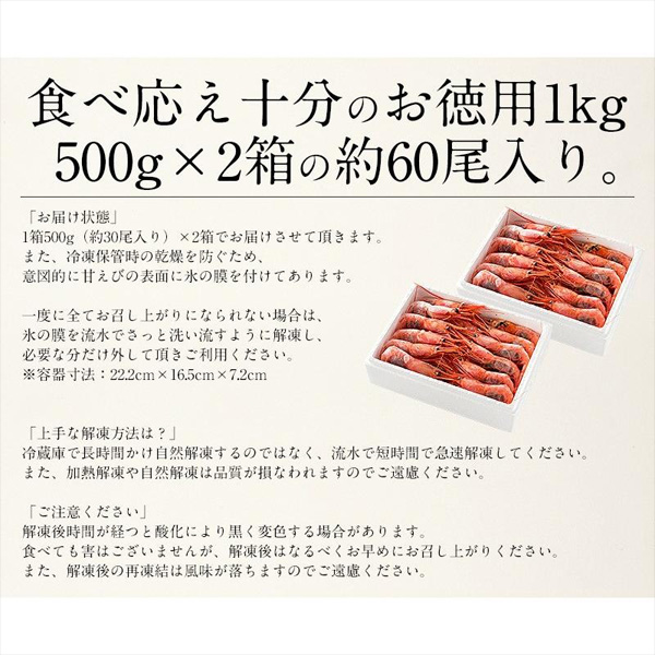 甘えび 子持ち 越前産 特大サイズ 1kg （約60尾入り）