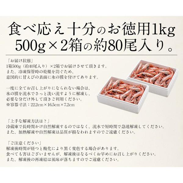 甘えび 子持ち 越前産 中サイズ1kg （約80尾入り）