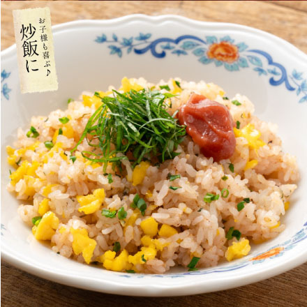 無添加 国産 ねり梅 種類が選べる 140g×2個セット