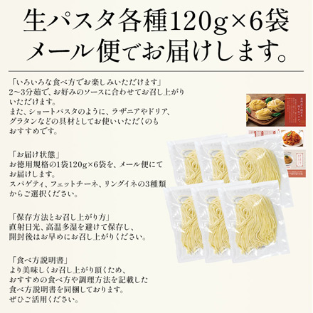 生パスタ リングイネ 120g×6袋