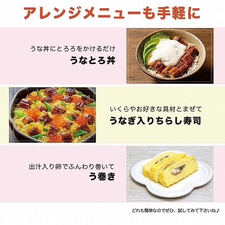 うなぎ 鰻 国産 蒲焼き 4枚(200g) タレ付き ギフト