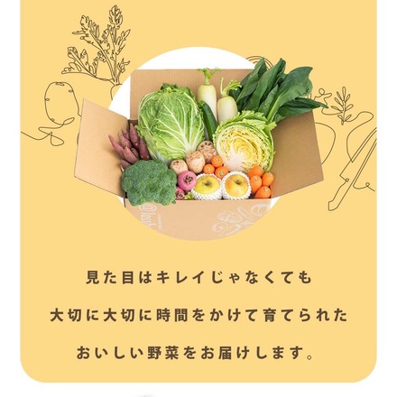 訳あり 食品 ロスヘル 野菜 果物 詰め合わせ セット 【合計7種類以上 約3-5kg 】規格外野菜 国産