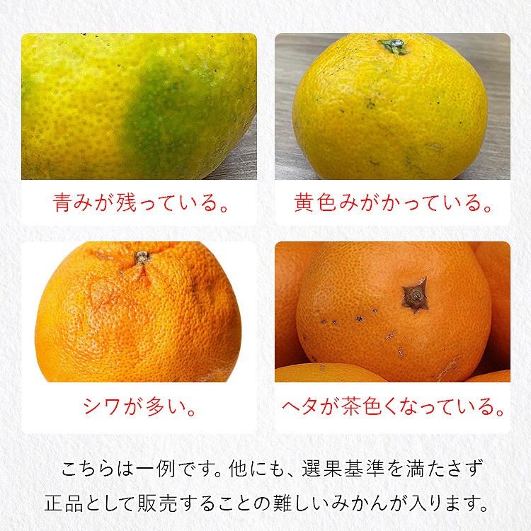 訳あり みかん 6.3kg (6kg+保証分300g程度) 3kgx2箱セット 和歌山県産 早生みかん 温州みかん ミカン 蜜柑 柑橘 わけあり 常温便 同梱不可 指定日不可