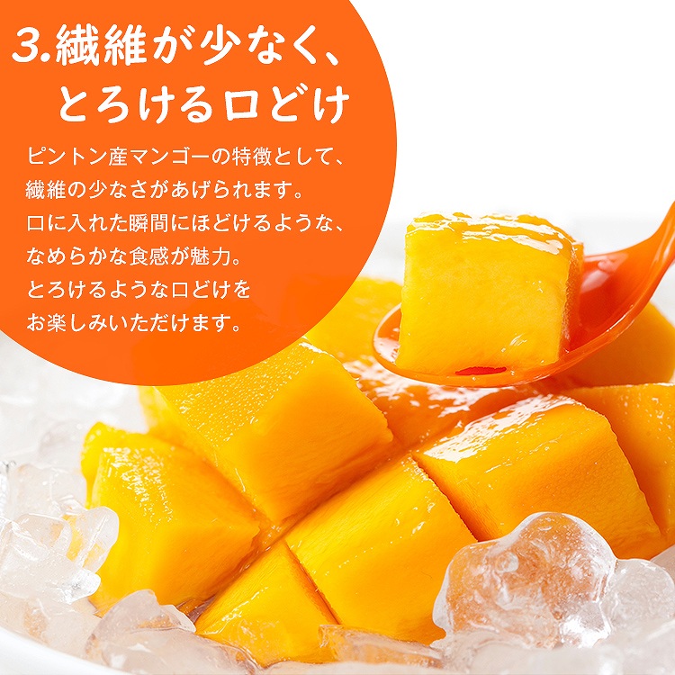 マンゴー 1.2kg以上 (2ー3玉程度) 台湾産 ピントン産 台湾から直送 チャンピオンマンゴー 糖度16度以上 産直 同梱不可 指定日不可
