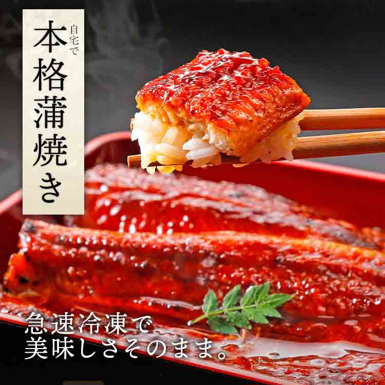 うなぎ 鹿児島県産 2尾 父の日BOX 父の日 125g×2 化粧箱入 国産 蒲焼き 長焼き 無投薬 焼き上げ 無頭 2本