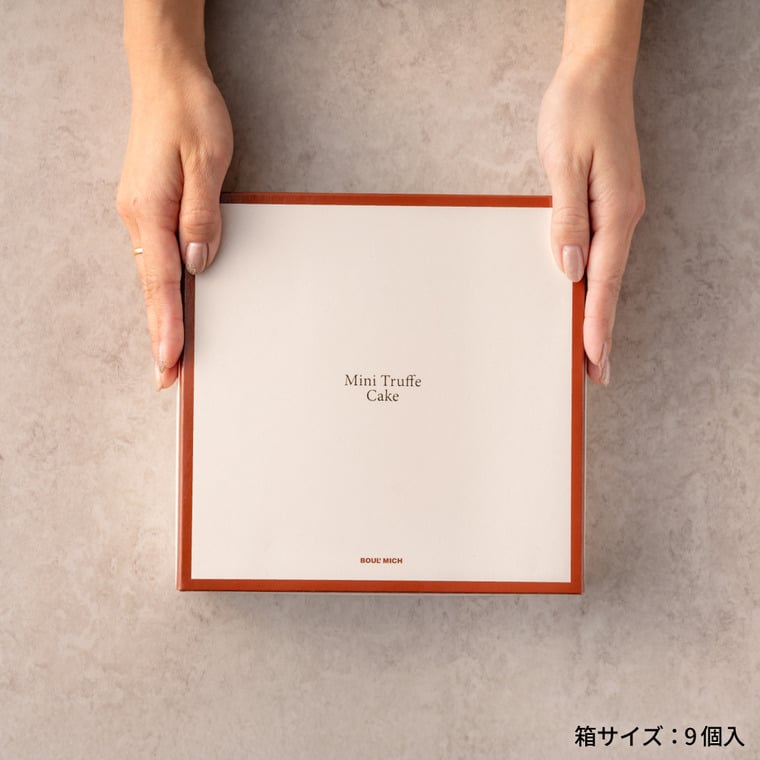 ブールミッシュ BOULMICH ミニトリュフケーキ 9個入 MTF-B / スイーツ 個包装 洋菓子 焼菓子