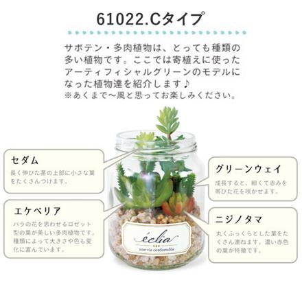 ecLia エクリア 消臭アーティフィシャルグリーン CT触媒 CT触媒 61021.Bタイプ