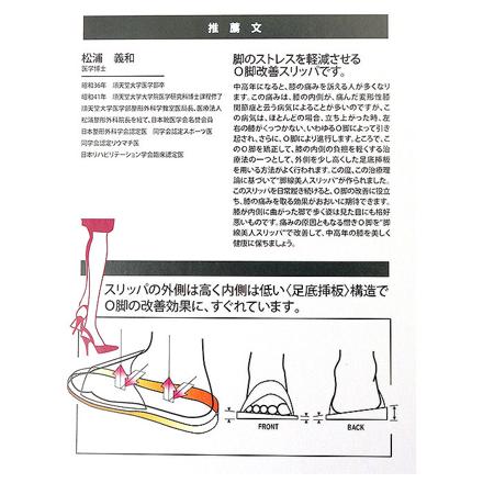 日本製 脚線美人 Mサイズ（21.5?22.5cM） ベージュ