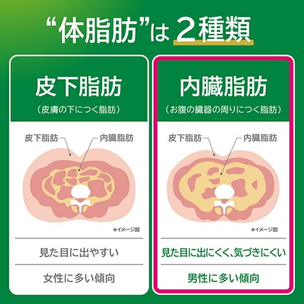 キリン ヘルシア 緑茶【特定保健用食品 特保】 350mlペットボトル×24本入|特保 トクホ 脂肪を消費しやすくする 緑茶 茶カテキン