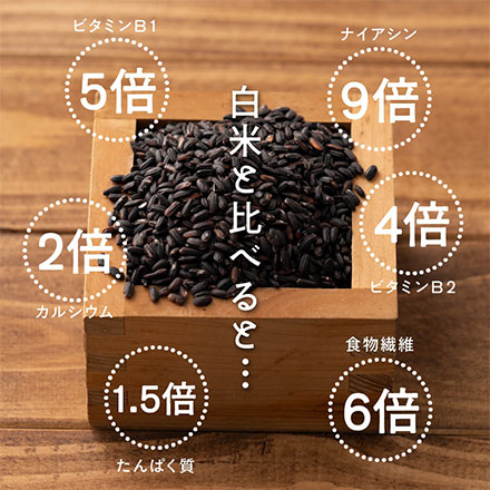 雑穀米本舗 国産 黒米 2.7kg ( 450g×6袋 )