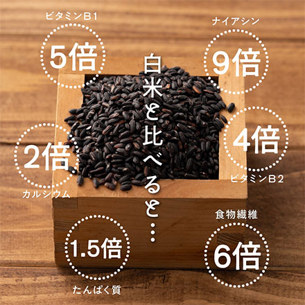 雑穀米本舗 国産 黒米 4.5kg(450g×10袋)