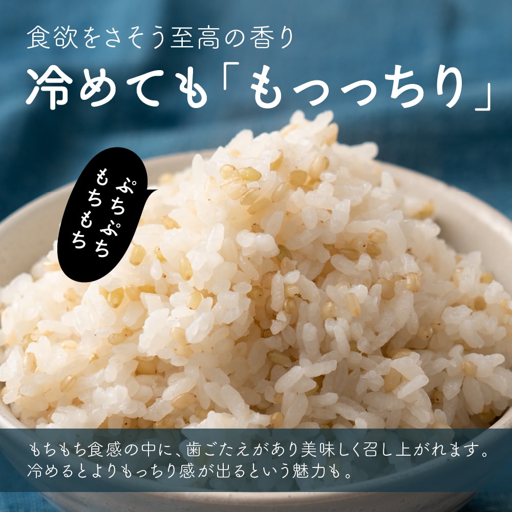 雑穀米本舗 国産 緑米 2.7kg(450g×6袋)