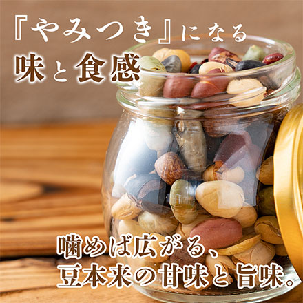 煌めき９種の国産煎り豆ミックス 300g