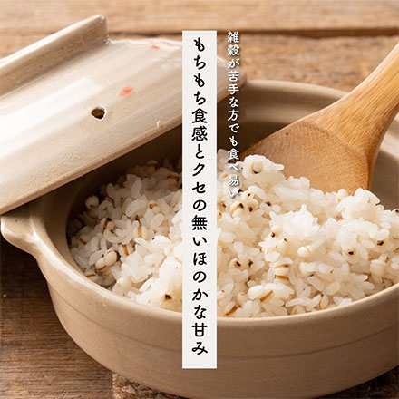 雑穀米本舗 国産 はと麦 (丸粒) 2.7kg(450g×6袋)