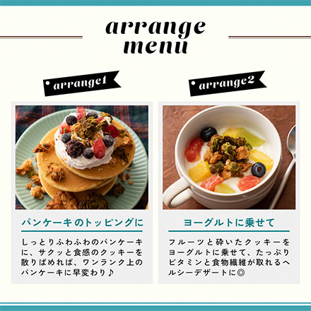 オートミールクッキー(チョコバナナ) 【100g×1袋】※割れ欠けあり