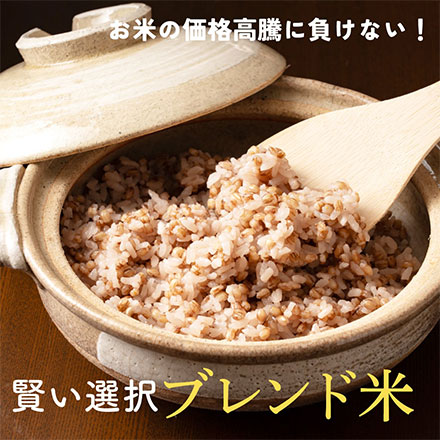 雑穀米本舗 国産 家計お助け米 もち麦ミックス 3kg(1kg×3袋)