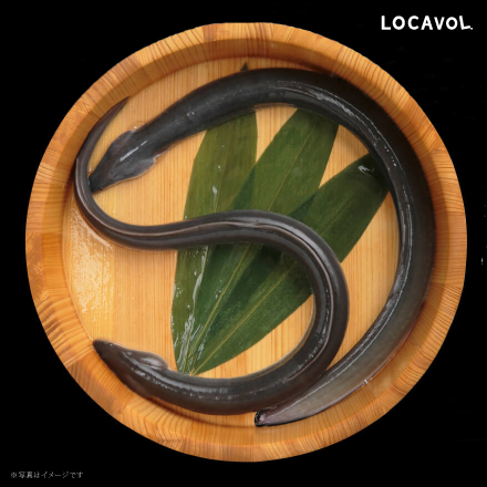 うなぎの詰め合わせ（竹） 静岡県 中部地方 美食うまいもん市場