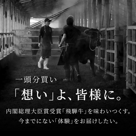 飛騨牛 牛一頭分（12分割配送）