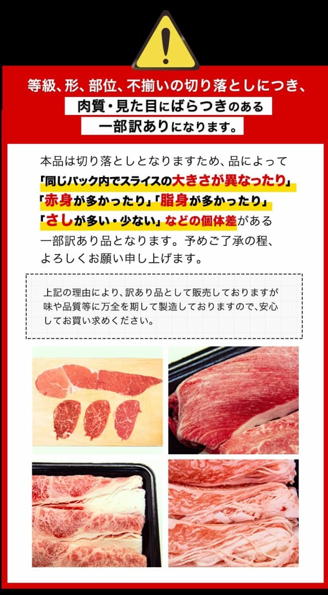 黒毛和牛 切り落とし 500g 九州産 国産 牛肉 こま切れ メガ盛り 牛丼用 ウデ モモ 【3-7営業日以内に発送予定（土日祝除く）】