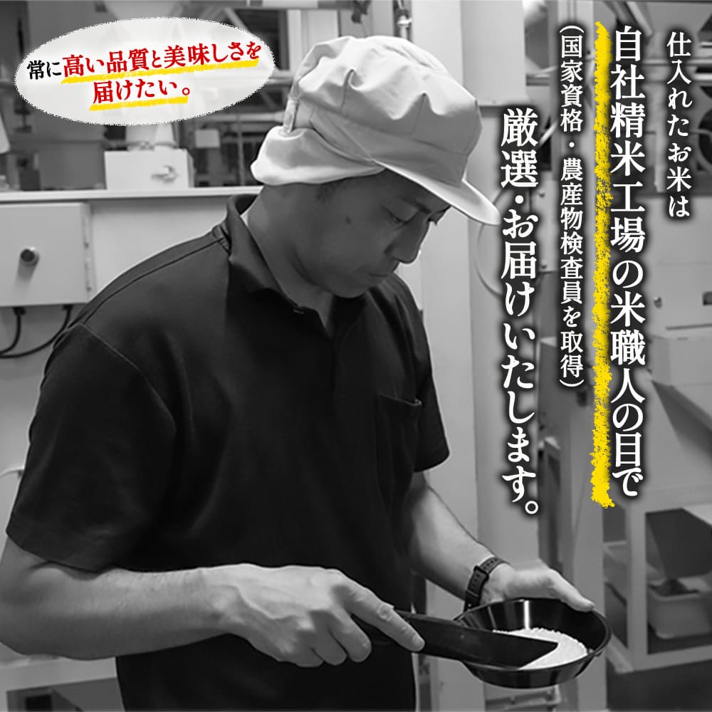 熊本県産 コシヒカリ 無洗米 20kg 令和8年産 7-14営業日以内に発送予定（土日祝除く）