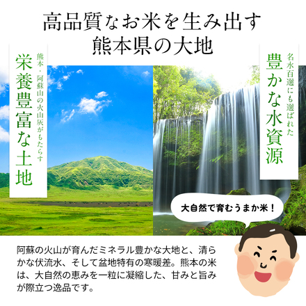 【 熊本県産 森のくまさん 無洗米 20g 】 速攻出荷 令和7年産
