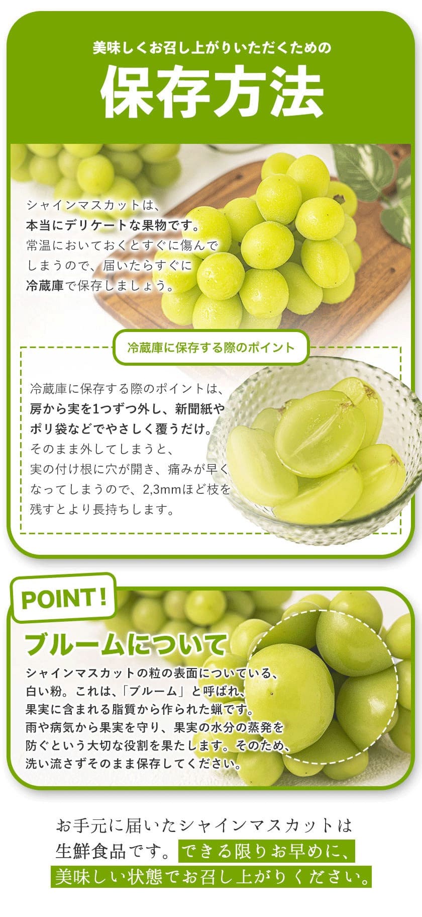 【予約販売】岡山県産 晴王 シャインマスカット 約2.0kg 3房 種なし 皮ごと食べられる 9月上旬-9月下旬頃出荷