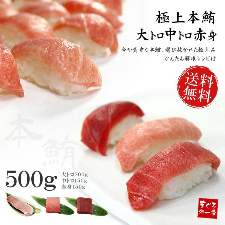 本マグロ 大トロ 中トロ 赤身 500g 解凍レシピ付 [大中赤セット]
