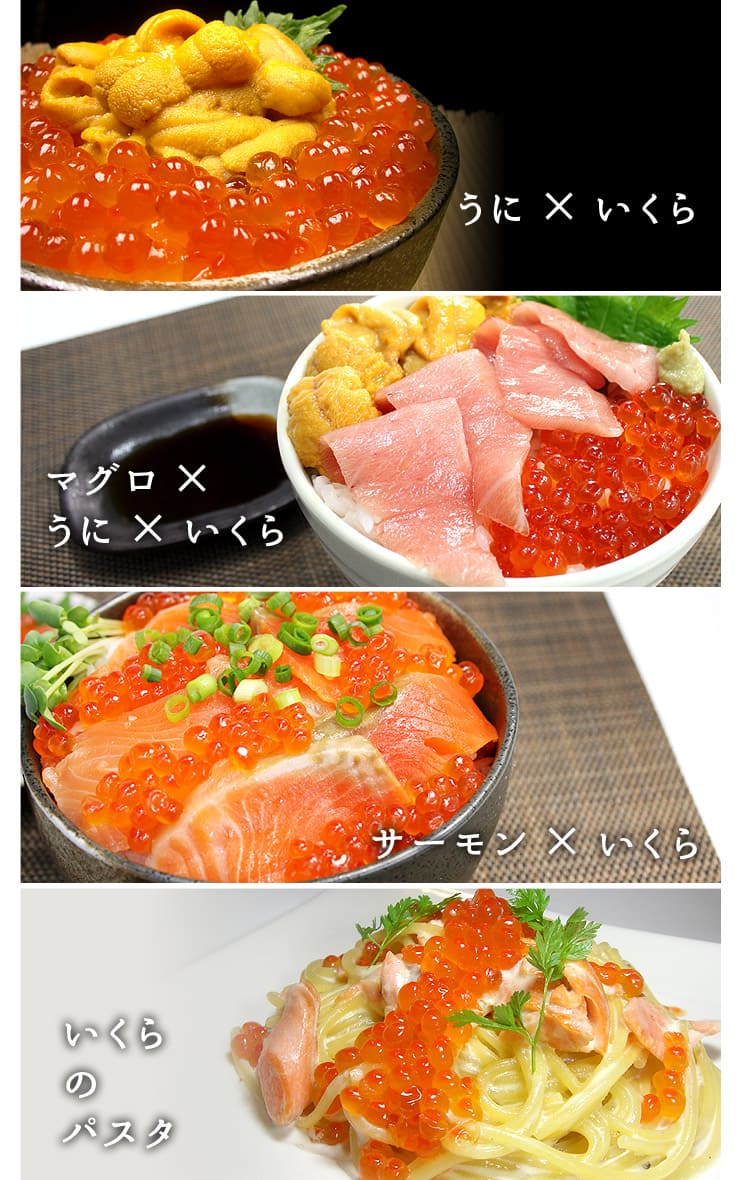 北海道産 いくら醤油漬け 500g [鮭イクラ500g]