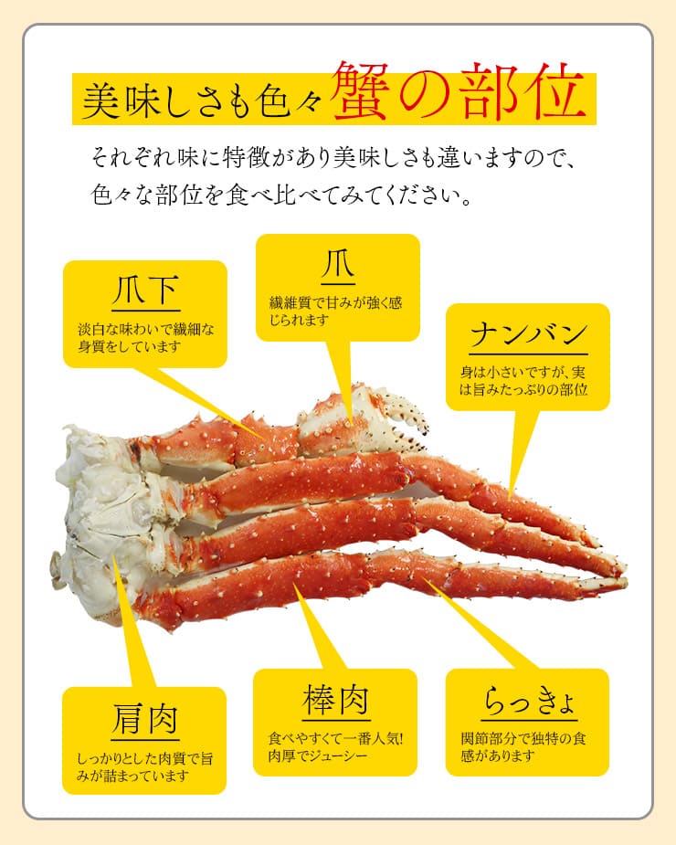 特大 ボイルたらば蟹脚 2肩 3.0kg（NET2.4~2.6kg） [タラバ蟹1.5kg-2p]