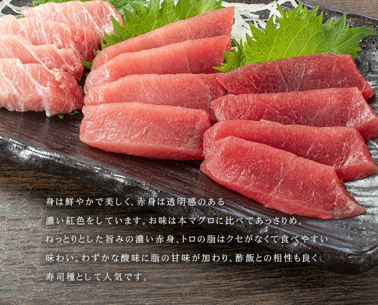 訳あり 天然マグロ トロ＆赤身セット 700g 解凍レシピ付 [バチ中赤700g]