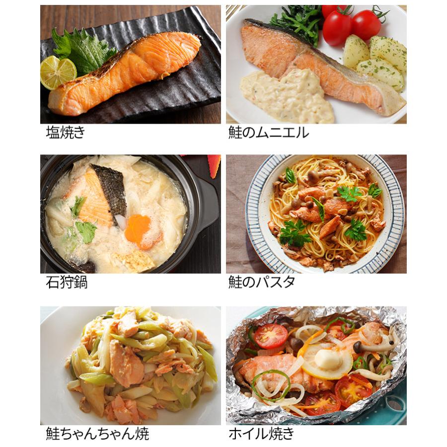 訳あり 銀鮭切り身 1.2kg 無塩 加熱用 チリ産 チャック袋入り 送料無料 [[無塩_B級銀鮭切り身1.2kg]超速（ちょうそく）発送 1-3営業日以内に発送予定 土日祝除く