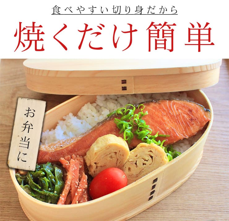 訳あり 銀鮭切り身 1.2kg (有塩･甘口) 20切前後 加熱用 チリ産 チャック袋入り シミ・身割れの切り身 [有塩_B級銀鮭切り身1.2kg]