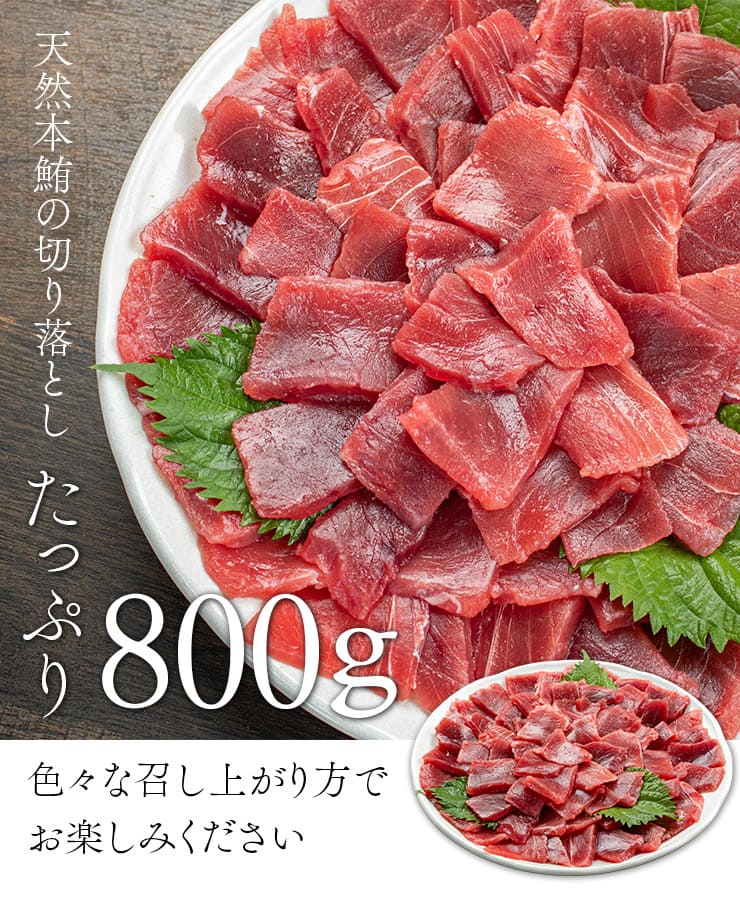 天然 本マグロ 切り落とし 800g(80g×10パック) お刺身用 可食部100％ [天然本マグロ切り落とし80g-10p]