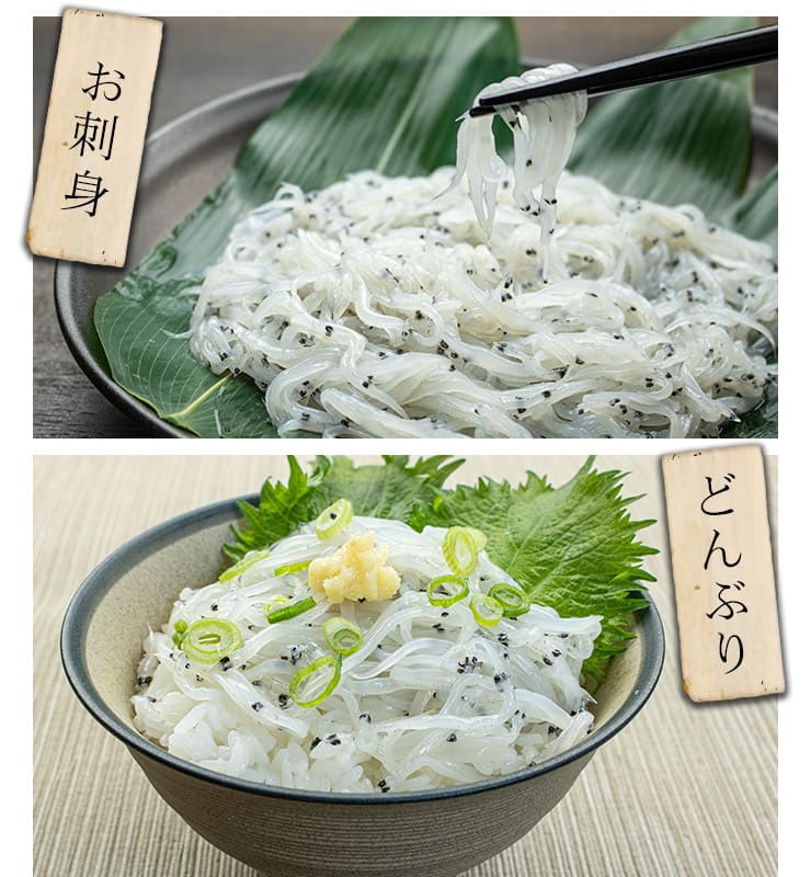 茨城県産 白魚 しらうお 200g お刺身用 [白魚200g]