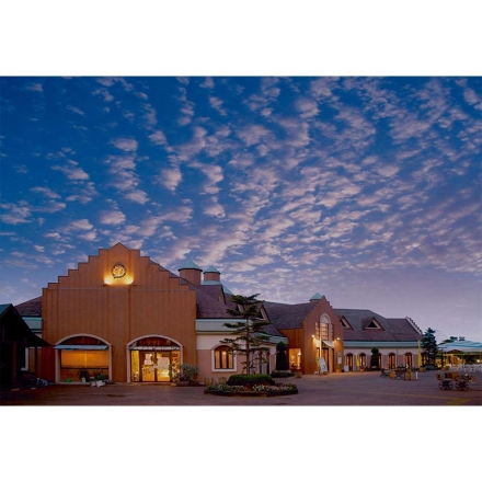 希望の丘醸造所 デイリービール3種