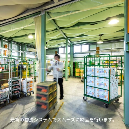 夏の果物9品詰合せ 送料込み