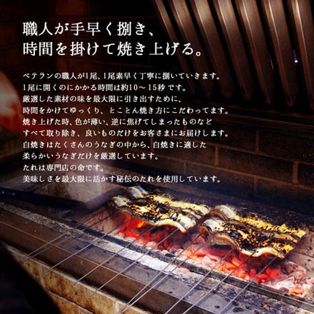 国産 うなぎ 紅白セット 蒲焼き 白焼き （155-167g×各1尾） 肝蒲焼き串×3本 ギフト 化粧箱