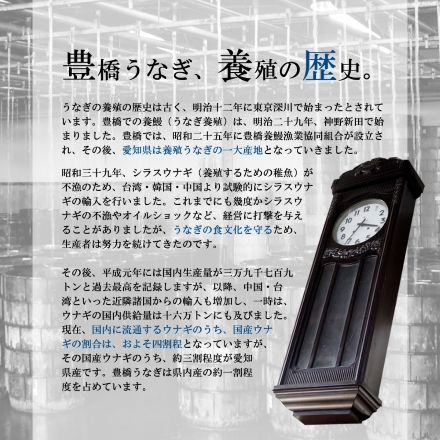 ギフト うなぎ 蒲焼き 国産 特々大211-230×5尾 （約10人前） 化粧箱