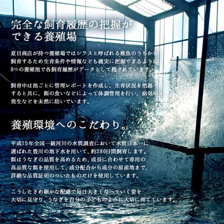 うなぎ 白焼き 国産 特大181-210g×6尾 （約10人前）