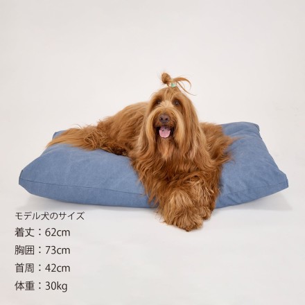 コージーベッド チャコール